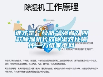行業新聞誰才是“續航”強者？四款除濕機長效除濕對比橫評—萬維家電網