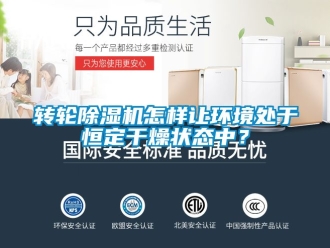 常見問題轉(zhuǎn)輪除濕機(jī)怎樣讓環(huán)境處于恒定干燥狀態(tài)中？