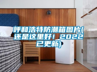 常見問題呼和浩特防潮箱圖片(還是這里好！2022已更新)