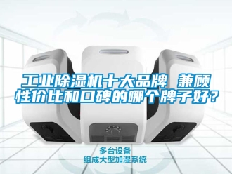 常見問題工業除濕機十大品牌 兼顧性價比和口碑的哪個牌子好？