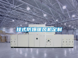 企業(yè)新聞掛式防爆暖風(fēng)機定制