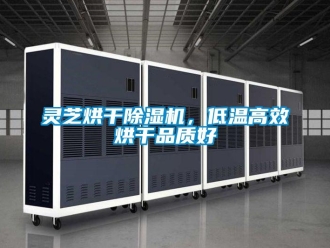 行業(yè)新聞靈芝烘干除濕機，低溫高效烘干品質(zhì)好